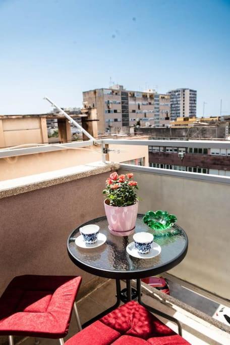 Pearl Of Sibenik Apartment Εξωτερικό φωτογραφία